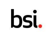 المزيد عن BSI Group