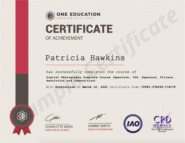 One Education sample certificate