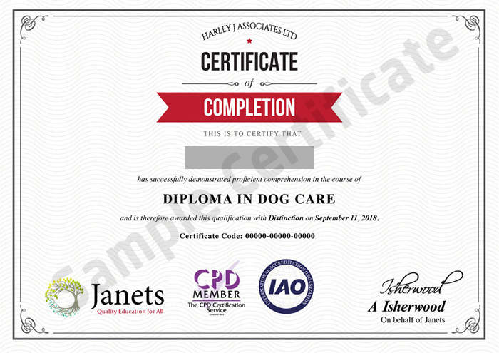 Janets sample certificate