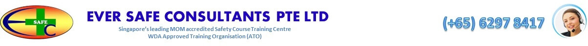 EVER SAFE CONSULTANTS PTE LTD (Singapore)