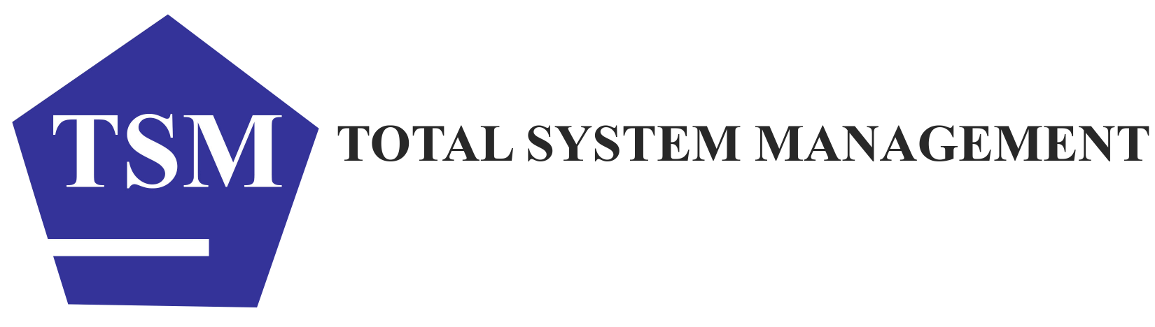 More about Total System Management SDN BHD
