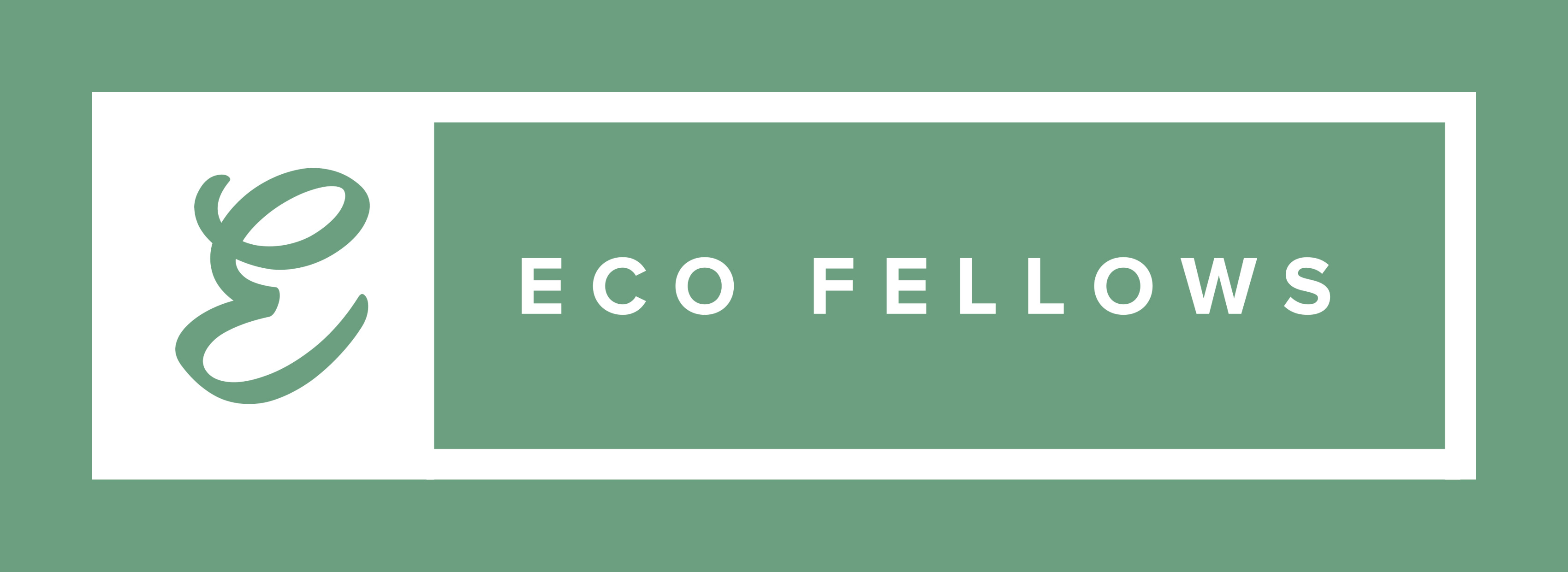 Eco Fellows Academy 