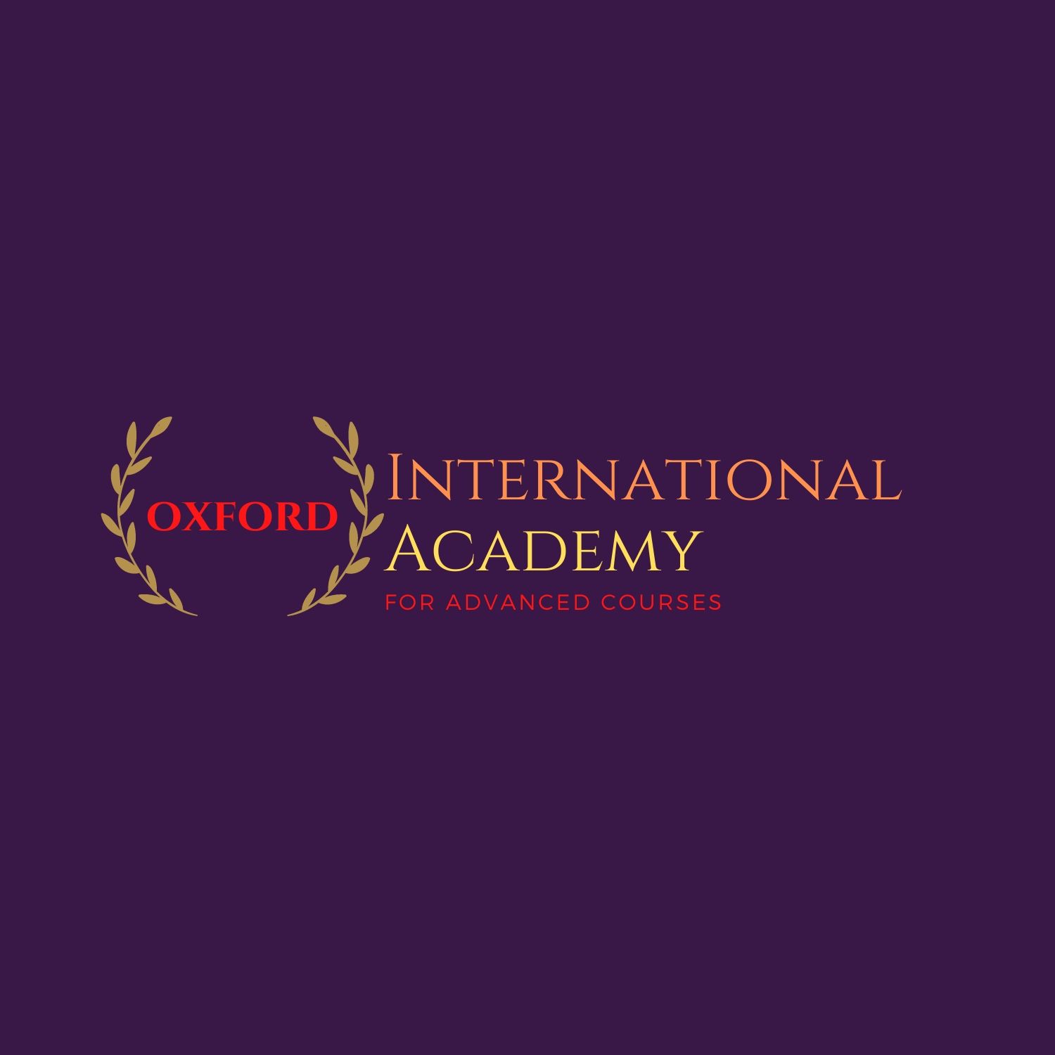 المزيد عن International Academy