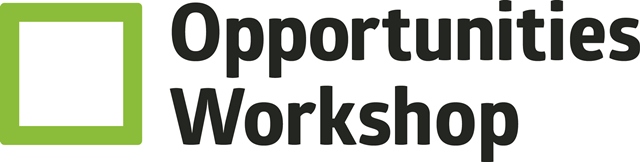 More about Opportunities Workshop