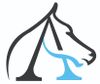 Ascent Education Ascent Education