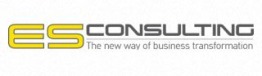 More about ES Consulting