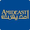 More about AMIDEAST