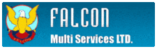 More about Falcon Multi Services