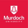 المزيد عن Murdoch University Dubai