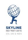 More about Skyline Medical Coding and Technical Skills