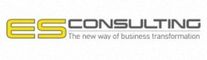 المزيد عن ES Consulting