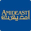المزيد عن AMIDEAST