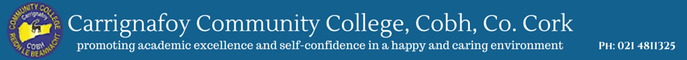 More about Carrignafoy Community College