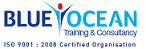 المزيد عن Blue Ocean Academy المزيد عن Blue Ocean Academy