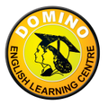 More about Domino English 