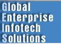 More about Global Enterprise Infotech Solutions(GEIS)