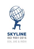 More about Skyline Medical Coding and Technical Skills