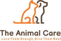 More about The Animal Care