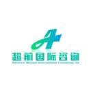 Advance Beyond International Consulting Inc Advance Beyond International Consulting Inc